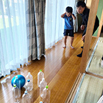らんらんの支援プログラム